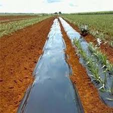 Mulching para canteiros Preto / Preto 18 micras