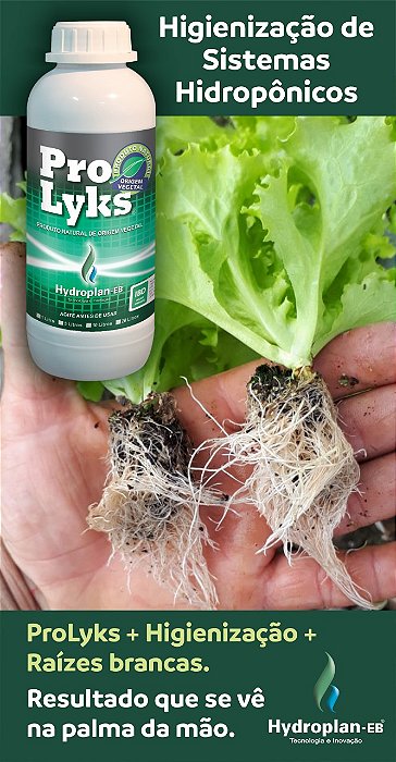 ProLyks Natural - Hydroplan
