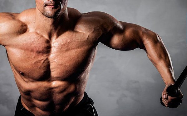 Ganho de Massa Muscular