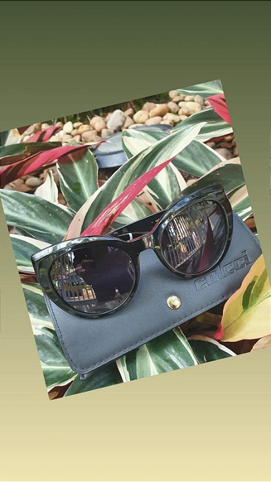 ÓCULOS SOLAR COLCCI