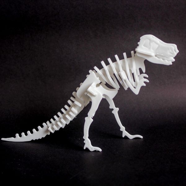 Esqueleto Dinossauro T-rex - ( quebra cabeça ) 60cm - Escorrega o Preço