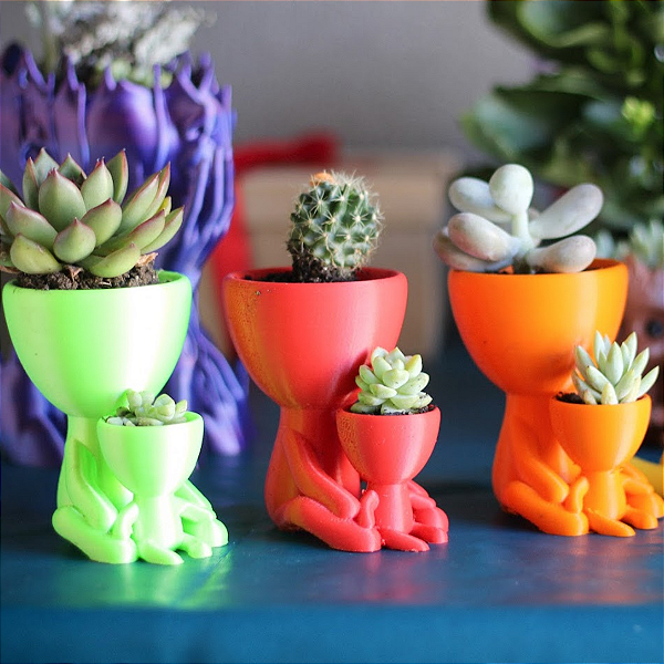 Vasinho decorativo suculenta cactos Robert plant mãe e filho