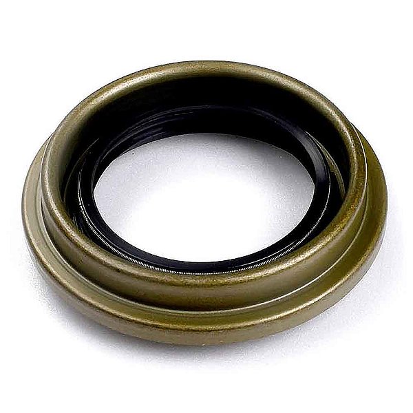 Retentor PINHAO Diferencial F4000 98/ DANA