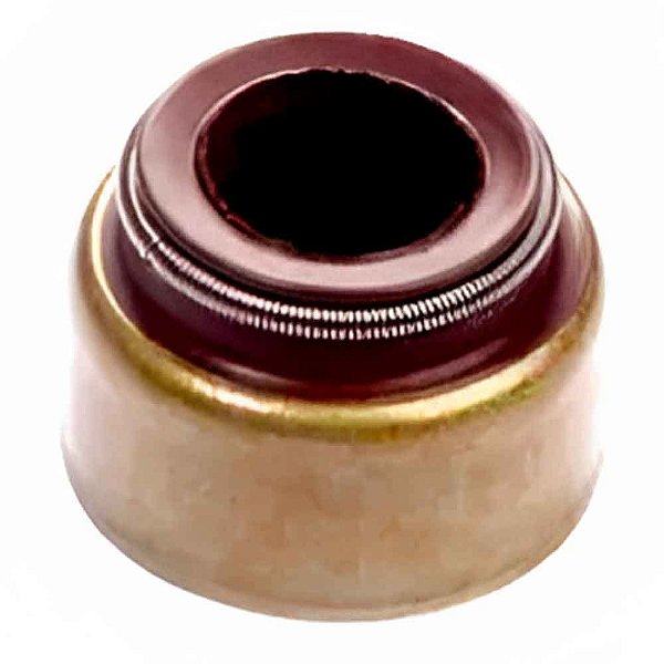 Retentor HAST Válvula MWM D229 X10