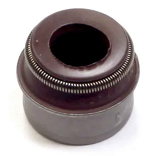 Retentor HAST Válvula