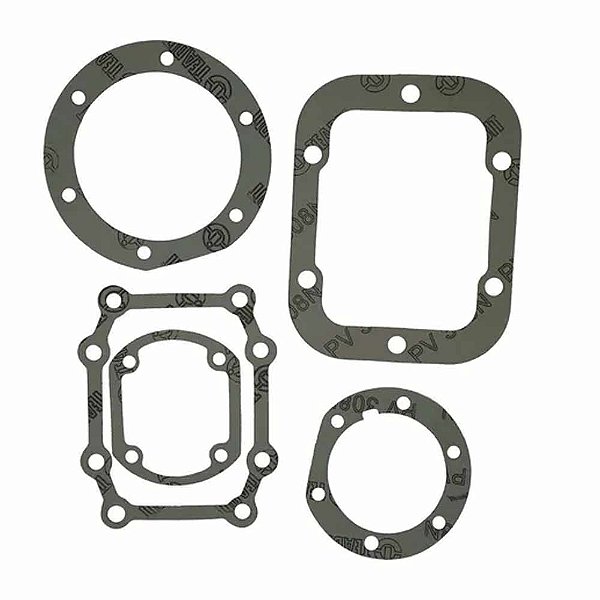Jogo Junta Câmbio D20/F350/Silv 98/ZF S5420 12044 Patrão