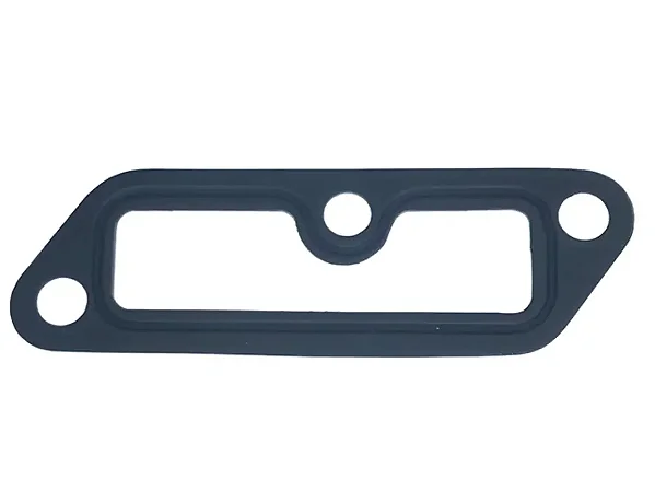 Vedação Carcaça Termostática MAN D08 6 Cilindros Carcaça