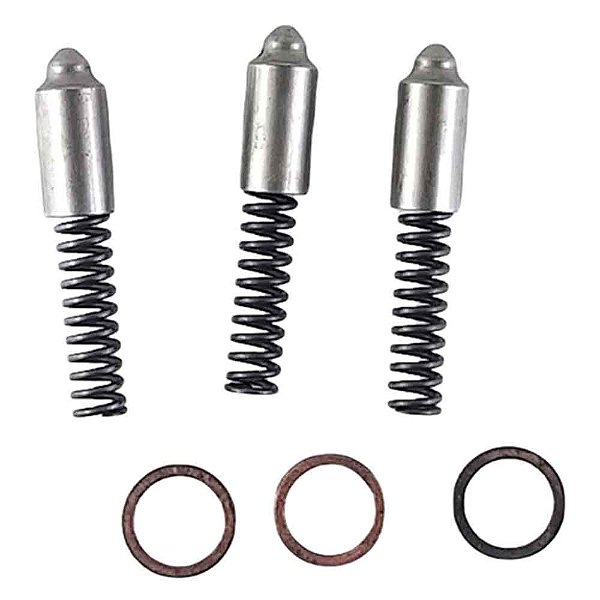 Jogo Reparo GARFOS CAMBIO ZF F350/D20/SILV