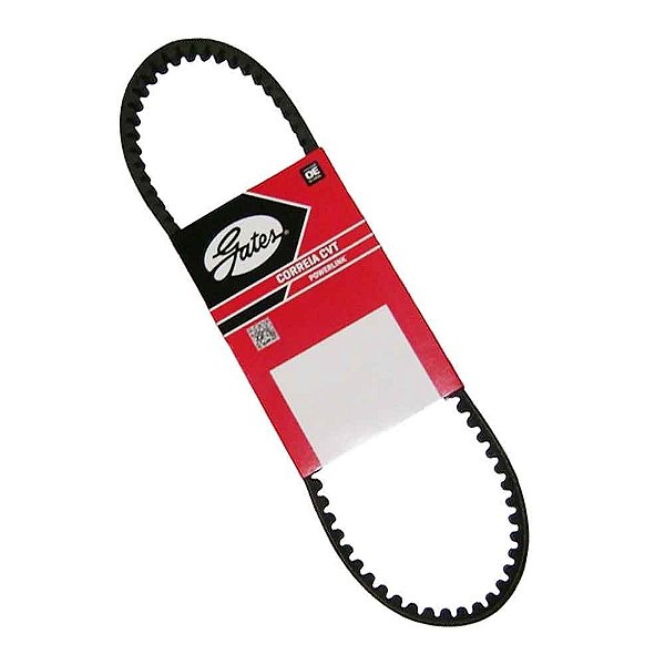 Correia Dentada F1/2/4000 93/95 MWM229