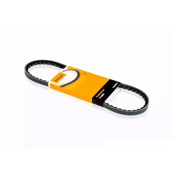 CORREIA DH VW 13130 MWM TDS