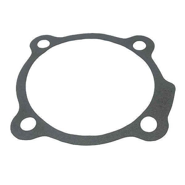 Junta Cilindro Reduzida Câmbio RT7608LL Cargo/VW TJG301235E