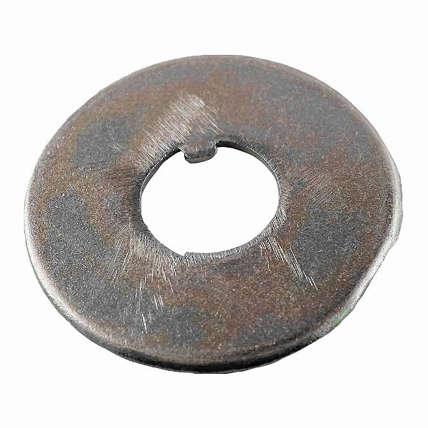 Arruela Manga Ex Dianteiro Volkswagen/Ford 690/790/815 0125083 RO