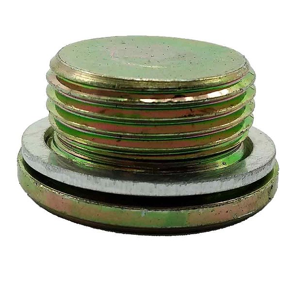 Bujão Carter Ducato Turbo Diesel