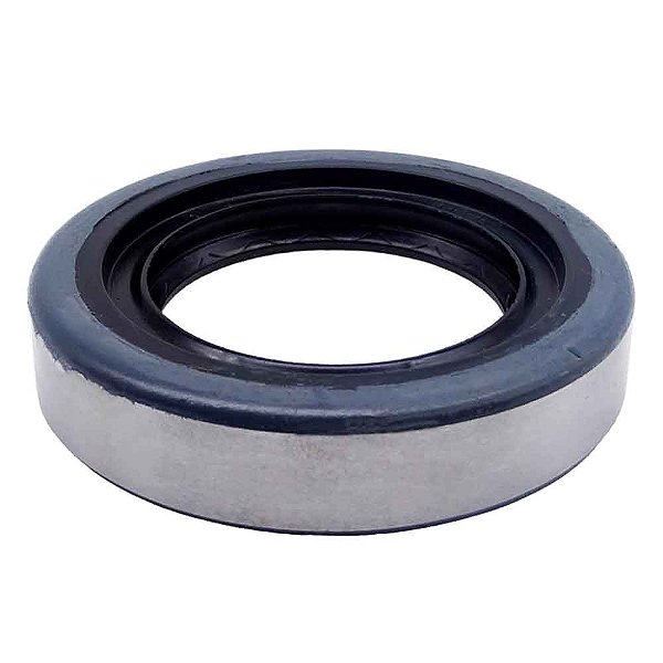 Retentor Pinhão Diferencial ACD10/20 Braseixos Brasei