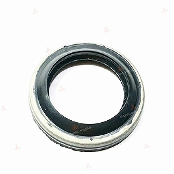 Retentor Roda Traseiro F1000/D20 93/Dana
