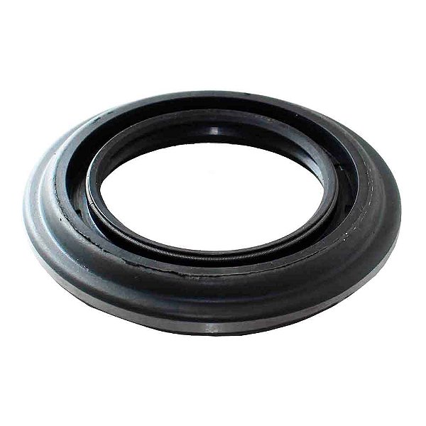 Retentor Pinhão Diferencial F4000/814/815 98/