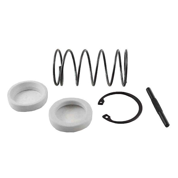 Reparo Alavanca Câmbio F1000/C10 260F 4M 3343376
