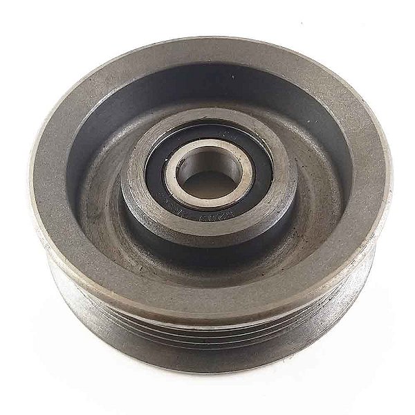 Polia Estática da Correia Alternadora Silverado 1997 / MWM