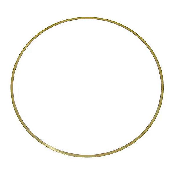 Calço Camisa Motor MWM X10 0.10