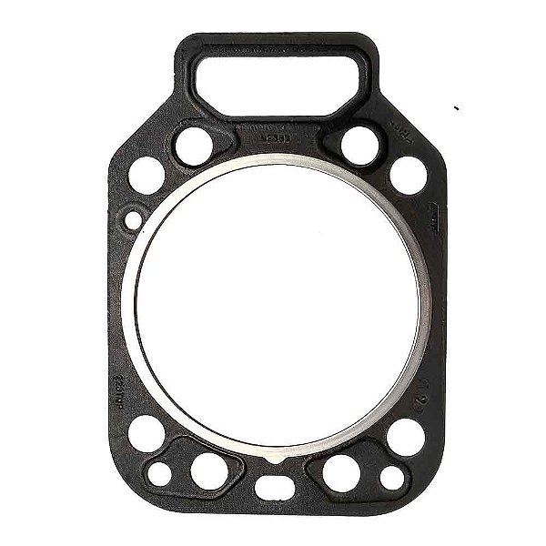 Junta de Câmbio MWM D-225