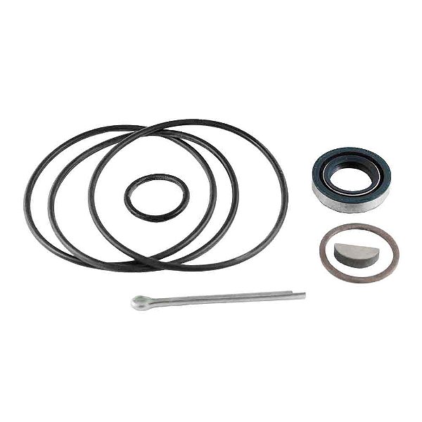 Reparo Bomba Direção Hidráulica F7000/12000 .../89