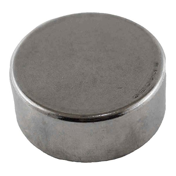 Rolamento Agulha Carcaça Câmbio S10/F1000 CL2205