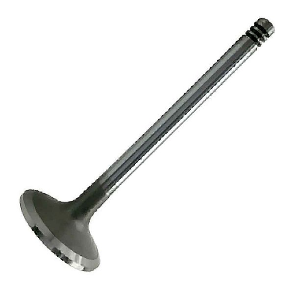 Válvula de Admissão D225/226/229 4/6 Cilindros Aspirado