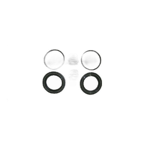 Jogo Reparo Pinça de Freio Traseira F250 Importação Todos 1 Lado