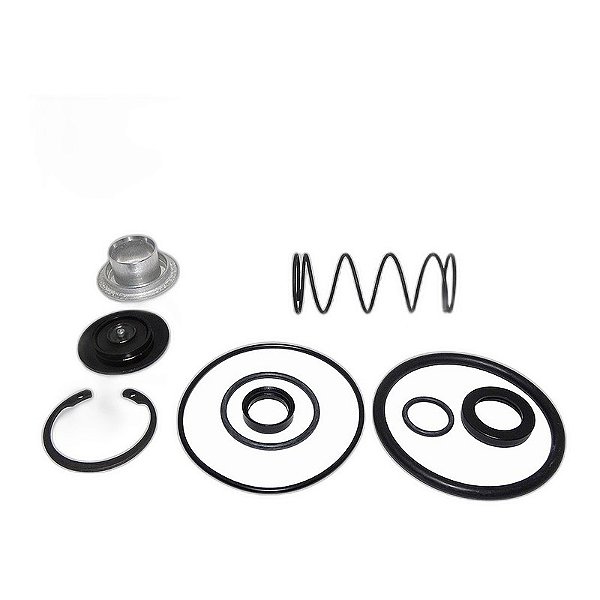 Reparo Válvula Alívio Rápido