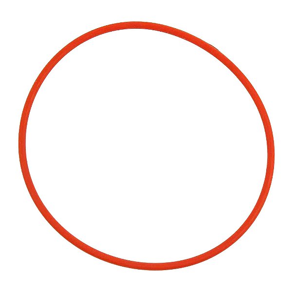 Anel de Vedações do Coletor de Admissão Cargo 1722/2428E ISB