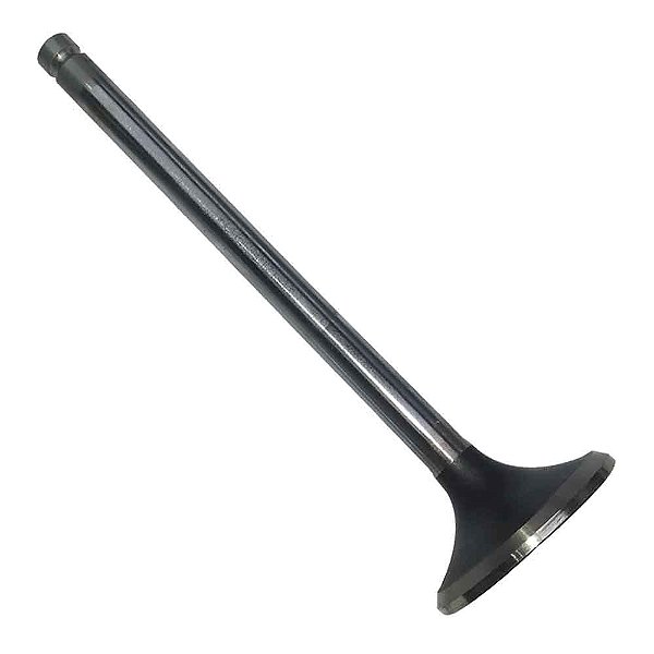 Válvula Escape Motor Cummins Série C 6 Cilindros Ford/VW