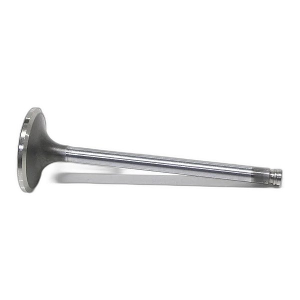 Válvula de Admissão Cummins Série C 8.3 TDS Cargo/VW