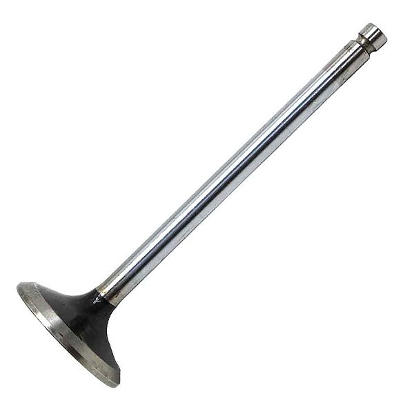 Válvula Escape Cummins Série B 4/6 Cilindros 3.9/5.9 TDS VS4306 5405501