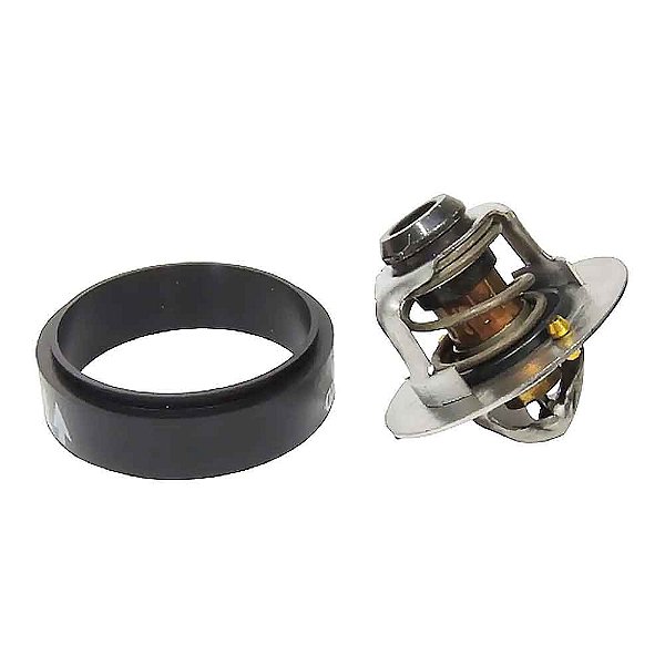 Válvula Termostática Cummins Série B 4/6 Cilindros