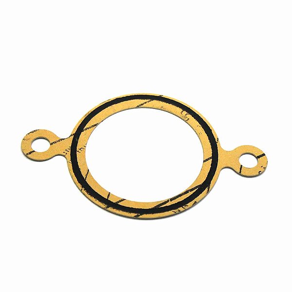 Junta Carcaça Válvula Termostática Cummins Série C Super 73843NA