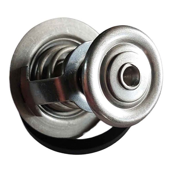 Válvula Termostática Cummins Série C 3928639 82 Graus com Anel