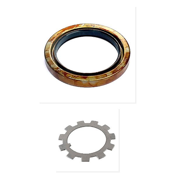 Kit Retentor Roda Traseiro Trava Aranha Cubo VW F4000 Cargo e Outros