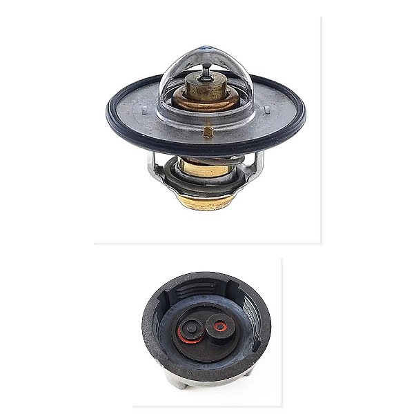 Kit Servo Embreagem Fluido Freio Mercedes 2006 3762 e Outros