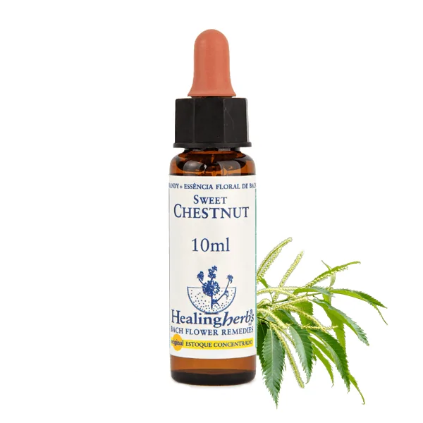 Sweet Chestnut – Floral de Bach Healingherbs 10ml
