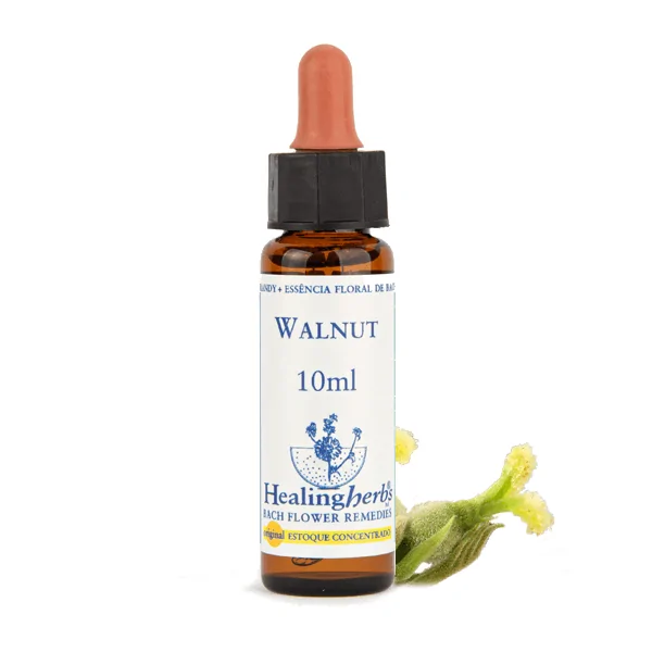 Walnut – Floral de Bach Healingherbs 10ml