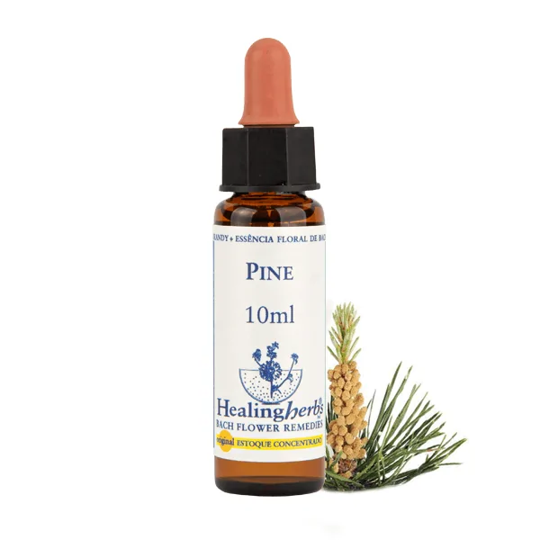 Pine – Floral de Bach Healingherbs 10ml
