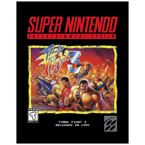 QUADRO DE METAL M - FINAL FIGHT 3