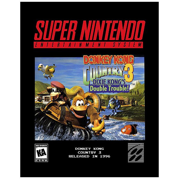 QUADRO DE METAL G - DONKEY KONG COUNTRY 3