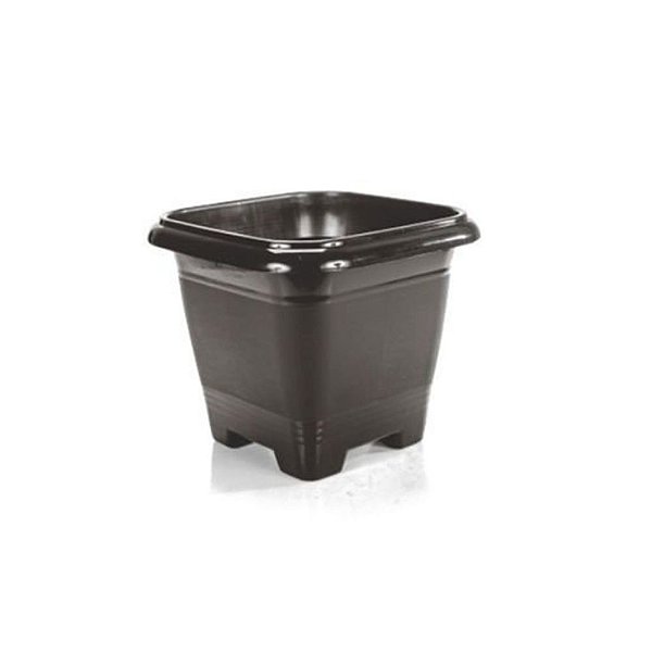Recipiente Preto Formato Quadrado 800 Ml De Plantas E Flores
