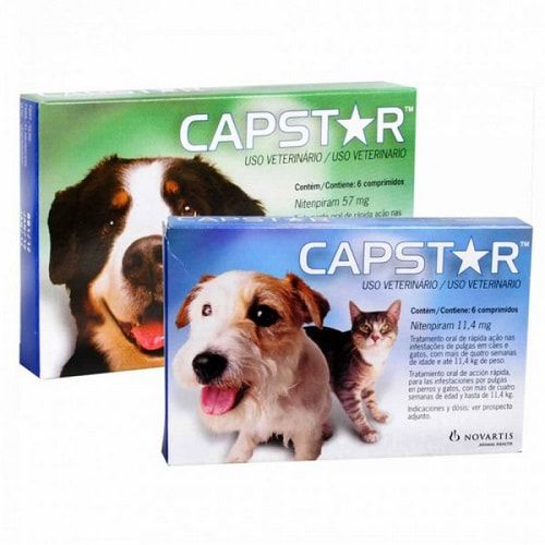Antipulgas Capstar com 1 Comprimido