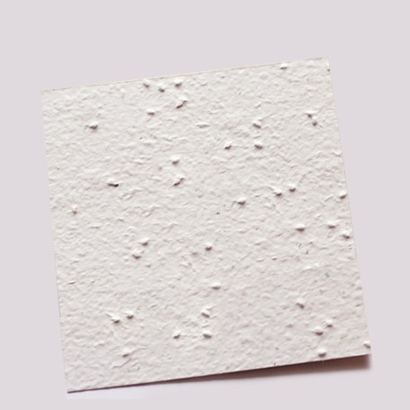 Cartão 10X10 cm Papel Semente