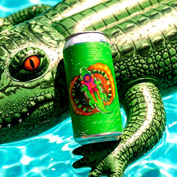 Dude Fisgado Schwarzbier 473ml