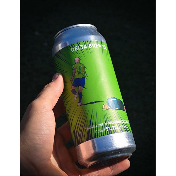 Delta Quem Tem Mais, Tem Cinco Sour Ale 473ml