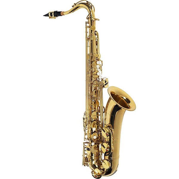 Saxofone Tenor Michael WTSM30N