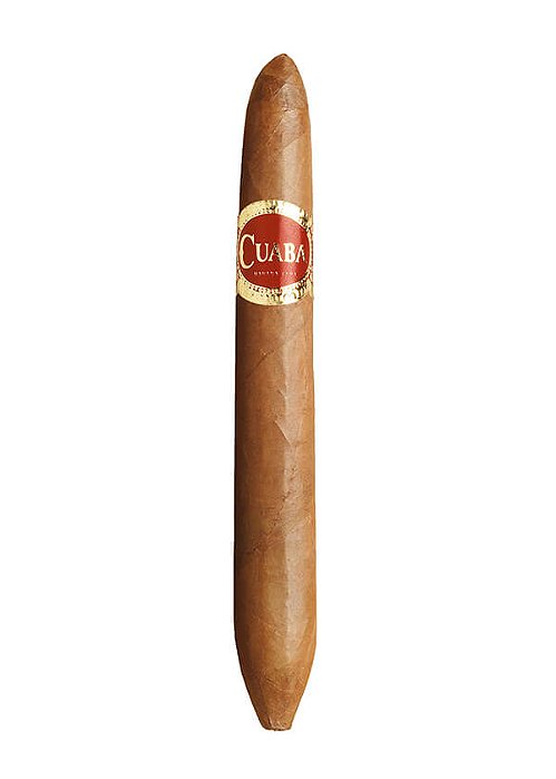 Charuto Cuaba Salomones
